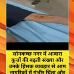 किस्मत न्यूज़ सोनकच्छ नगर. में कुत्तों के बढ़ते आतंक से नागरिकों में भय, पूर्व पार्षद भी हुए शिकार. शेख इकबाल की रिपोर्ट।