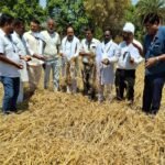 बैतूल. चिचोली.ब्लॉक कांग्रेस कमेटी पहुंची किसानों के खेत में।    फसलों का नुकशान देखने के बाद बोले करेंगे कलेक्टर साहब से बात।    अकरम खान पटेल की रिपोर्ट। 