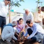 बैतूल.विश्व पर्यावरण दिवस: चिचोली सर्किट हाउस में कलेक्टर और जनप्रतिनिधियों ने किया ‘लक्ष्मी तरु’ का पौधरोपण.    अकरम खान पटेल की रिपोर्ट।