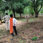 किस्मत न्यूज़ बैतूल *अतिक्रमण रोकने गए वनकर्मी लाइन हाजिर, रेंजर बोले – “हम पर झूठे आरोप लगे”*     _अकरम पटेल की रिपोर्ट_  